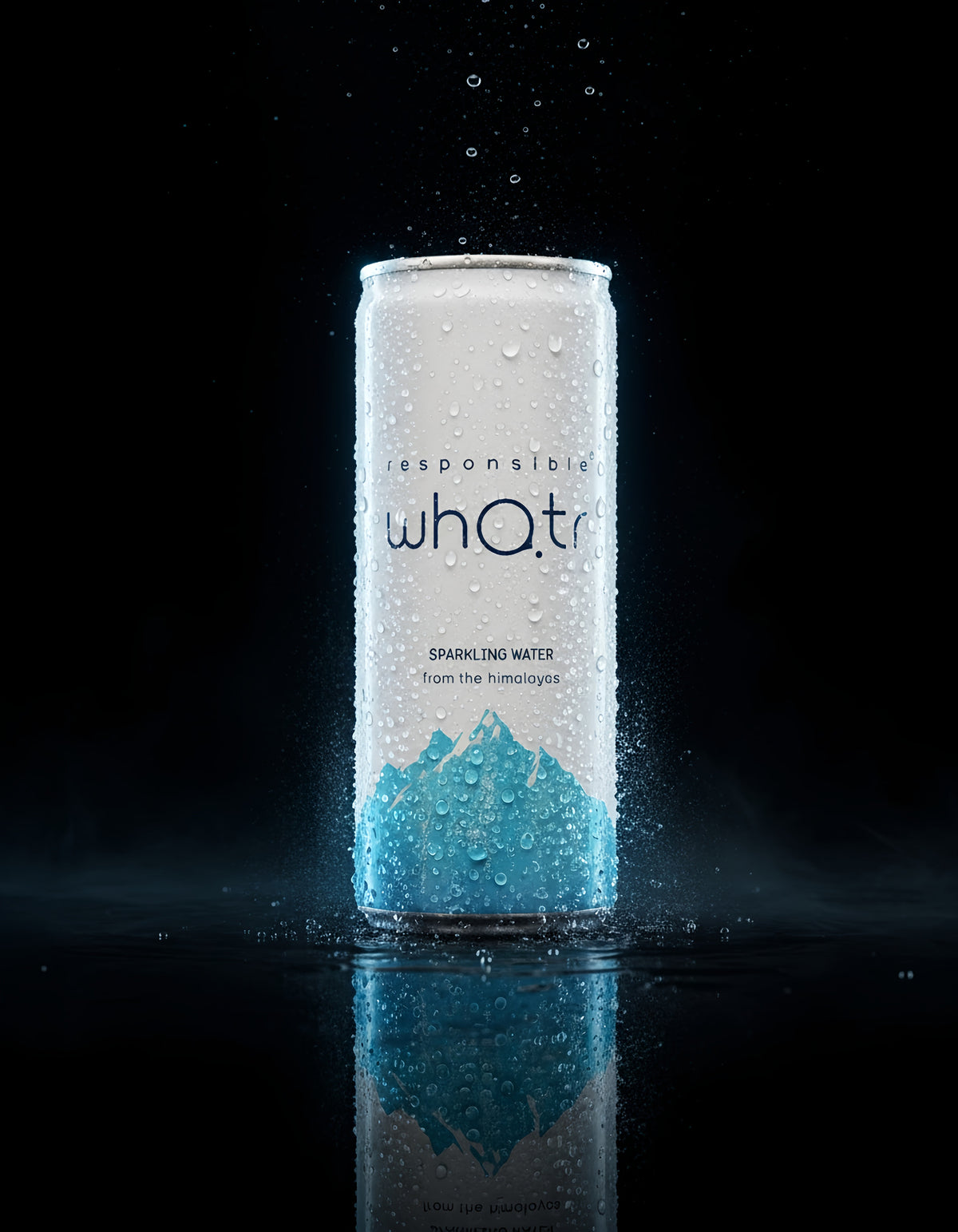 Responsible Sparkling Whatr 12 x 250ml